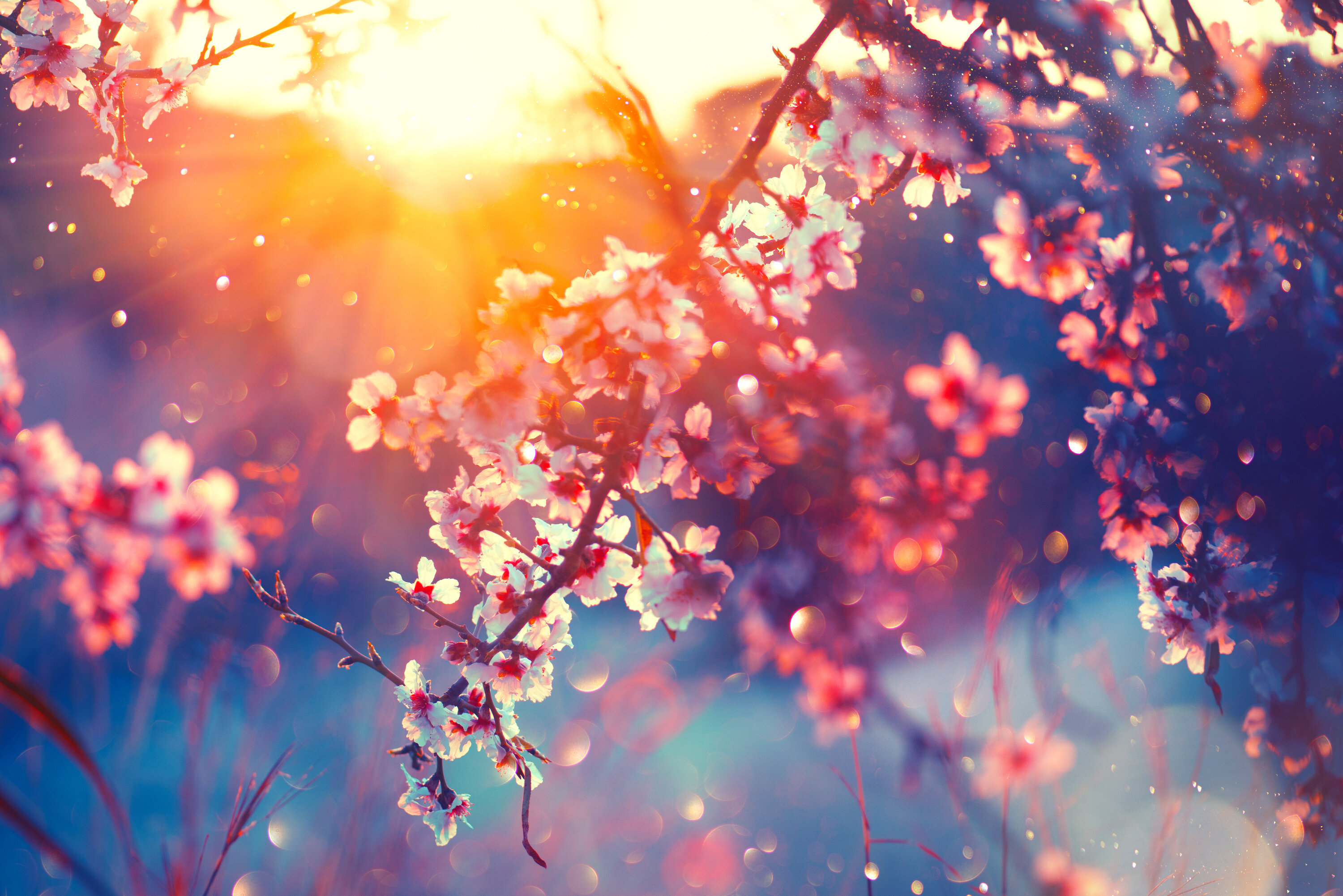 Bell Estate: uw partner in vastgoed