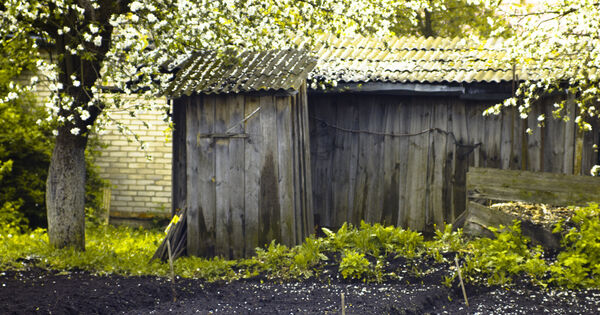 Mag je een tuinhuis of plaatsen zonder vergunning? Bell Estate