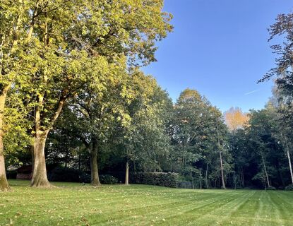 Forest View in Waasmunster