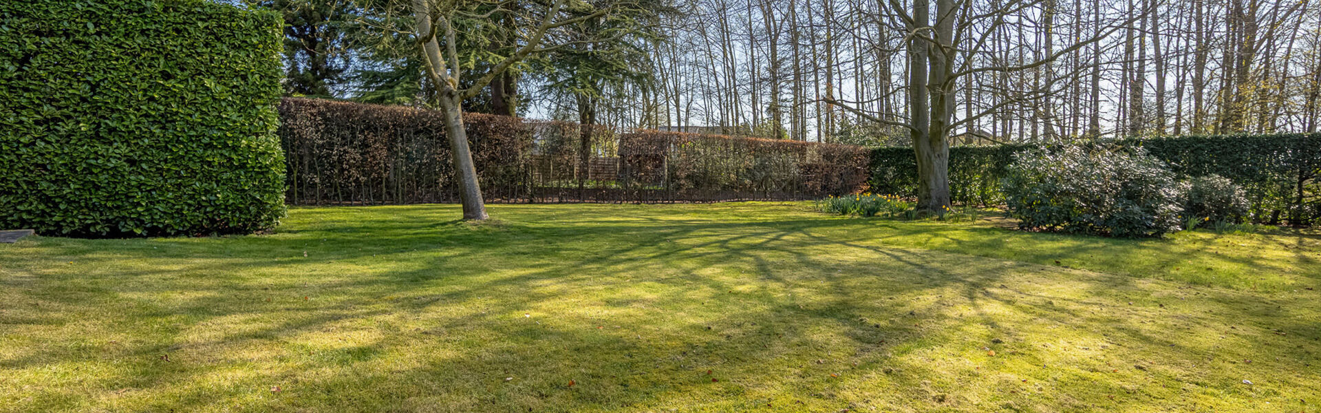 Buitengewoon huis te koop in Waasmunster