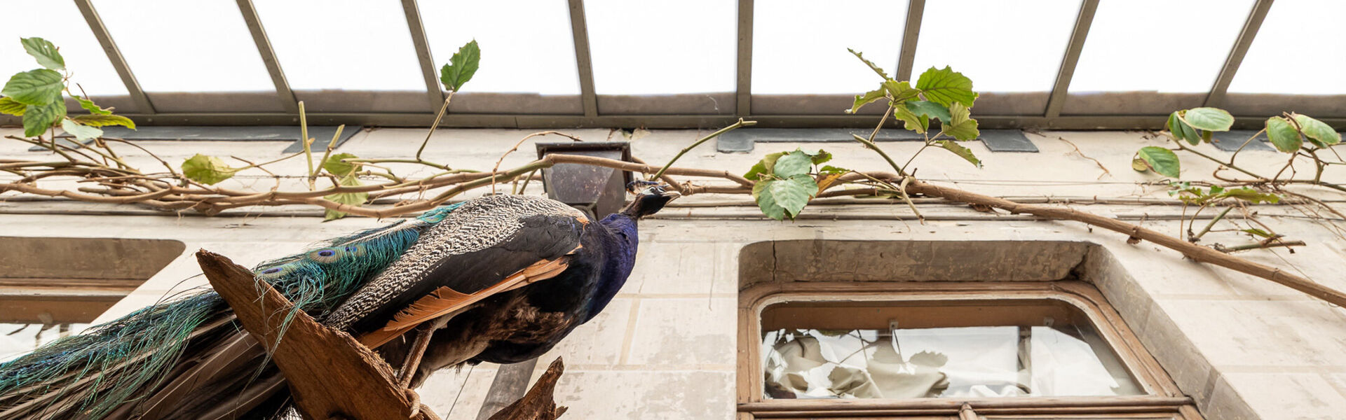 Gebouw voor gemengd gebruik te koop in Sint-Niklaas