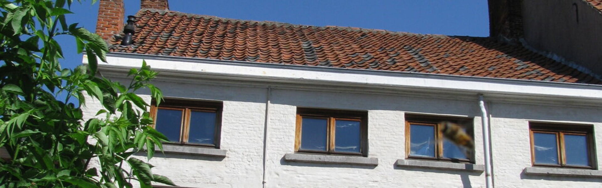 Herenhuis te koop in Sint-Niklaas