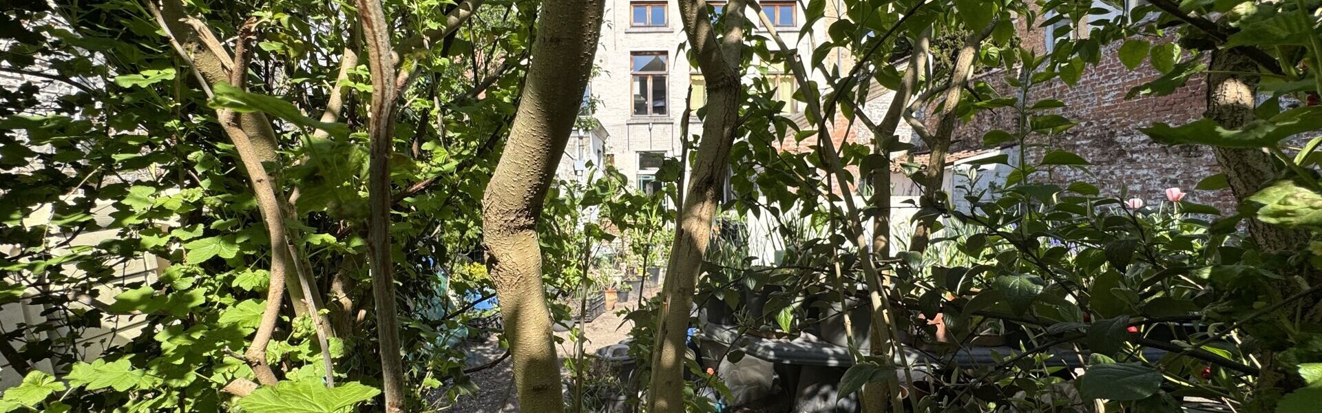 Herenhuis te koop in Sint-Niklaas
