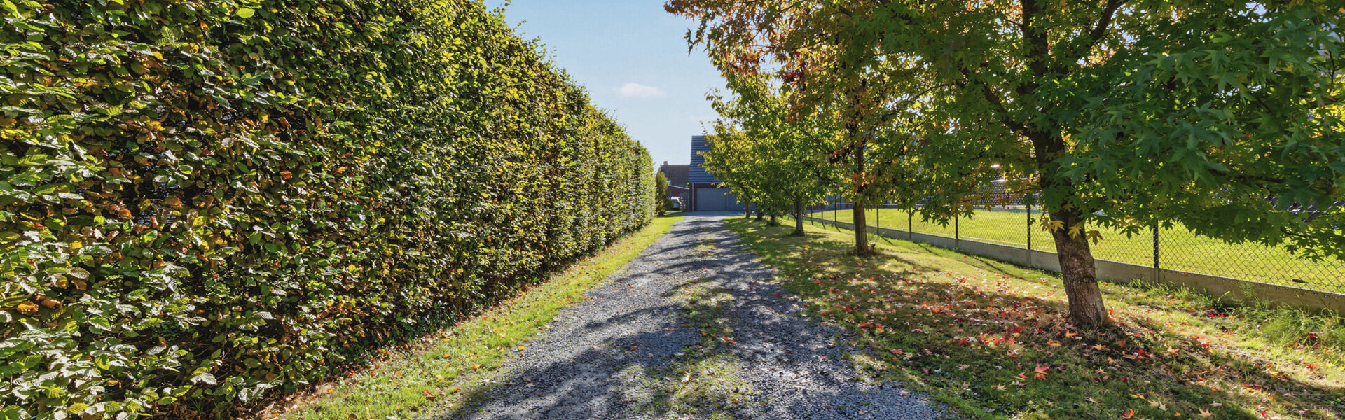 Huis te koop in Hamme