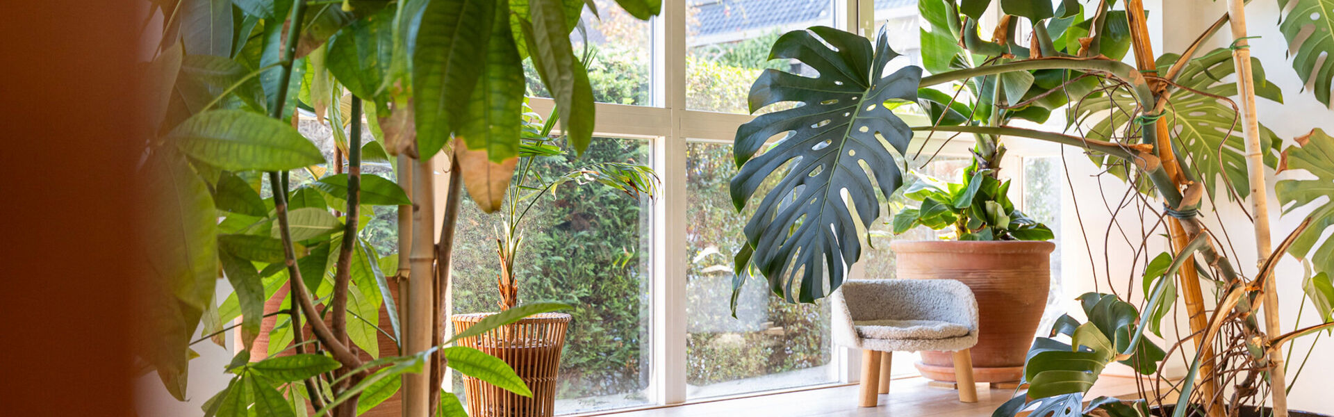 Huis te koop in Lokeren