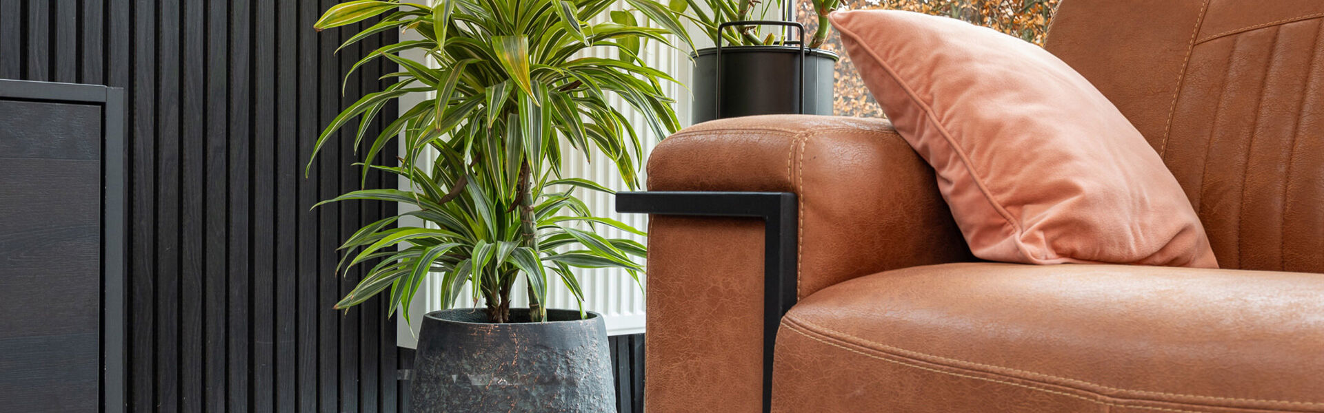 Huis te koop in Waasmunster