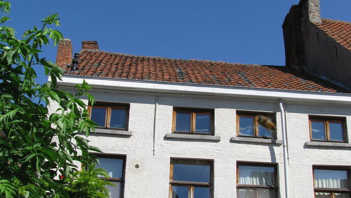 Herenhuis te koop in Sint-Niklaas