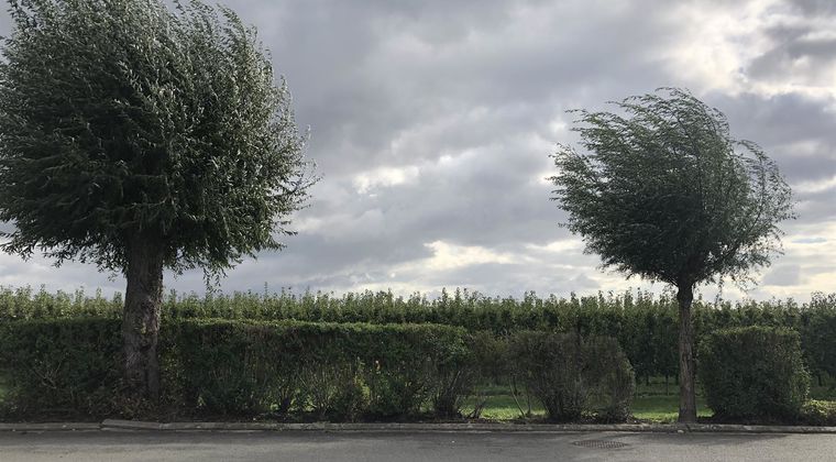 Met veel plezier stellen wij u deze mooie bouwgrond voor van 5a33ca in een rustige en kindvriendelijke wijk in Kieldrecht. Op deze bouwgrond heeft u de mogelijkheid om een halfopen bebouwing te bouwen bestaande uit twee woonlagen. Kroonlijsthoogte van max