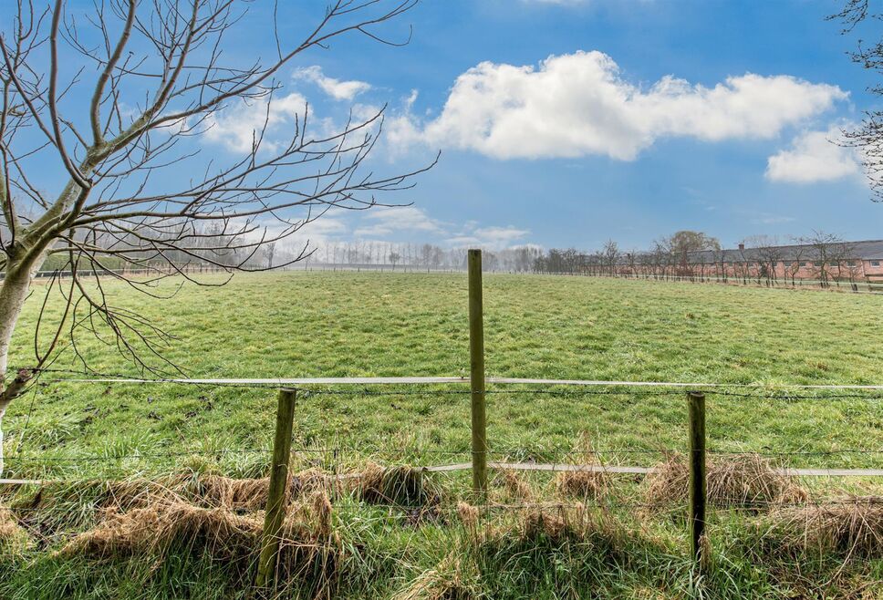 Landbouw grond te koop in Hamme